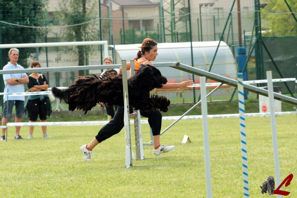 Agility - Shai dei Lupercali