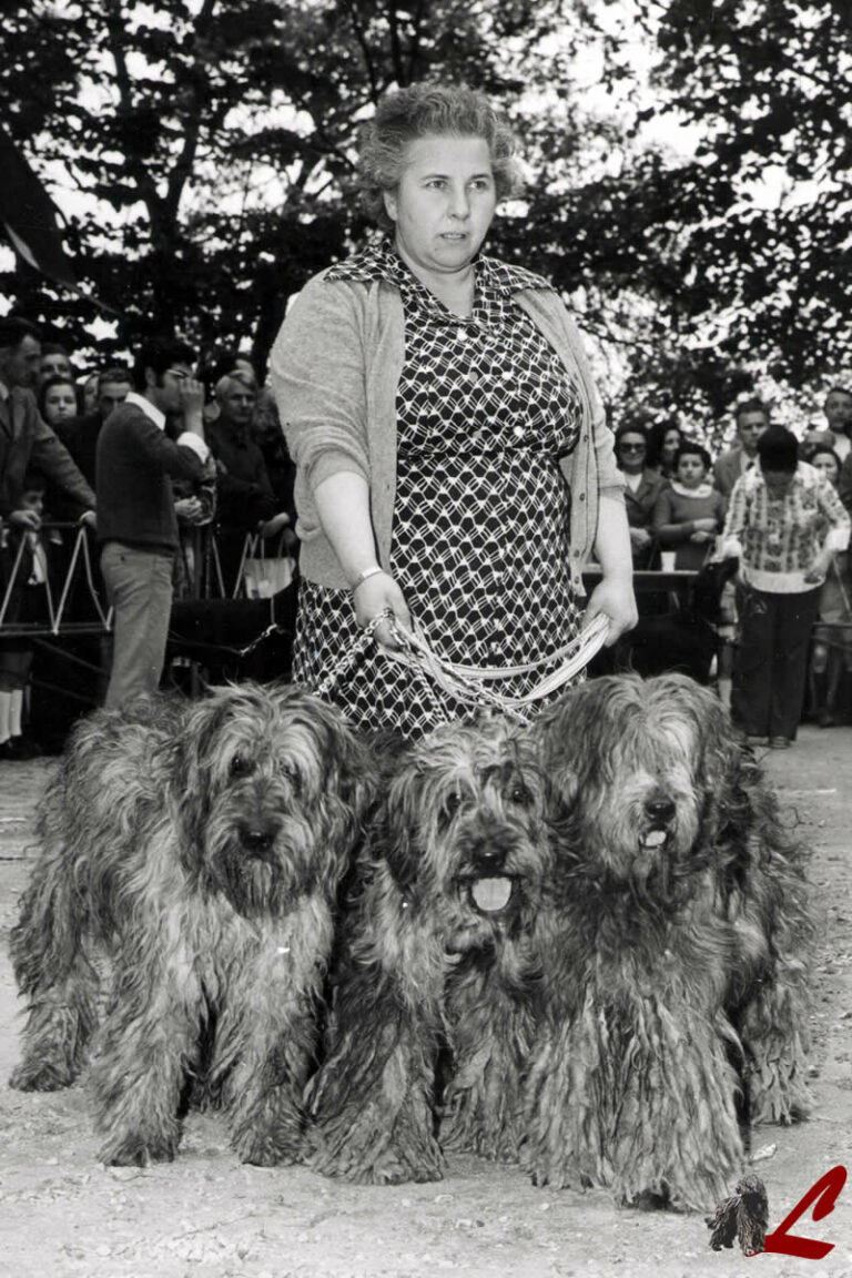 Carla Mariani Allevamento dei Lupercali anni '50