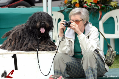 Ch. Italiano Arwen dei Lupercali Ch. Italiano Arwen dei Lupercali