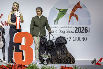 Esposizione ENCI Winner Milano 2022 Esposizione ENCI Winner Milano 2022 - 3° Gruppo d'Allevamento