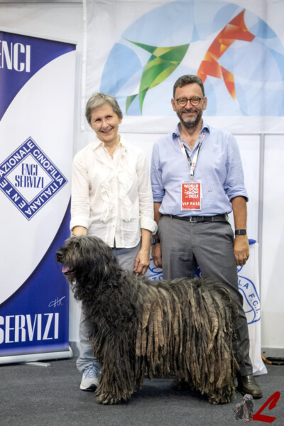 Esposizione Mondiale Ginevra 2023 Esposizione Mondiale Ginevra 2023 MultiCh. Iris dei Lupercali CAC CACIB BOB Miglior Veterano