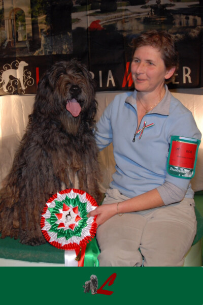 Esposizione Int. Insubria Busto Arsizio 2011 Esposizione Int. Insubria Busto Arsizio 2011 MultiCh. Rukmini dei Lupercali CAC CACIB BOB 1° Best Razze Italiane 1° BOG