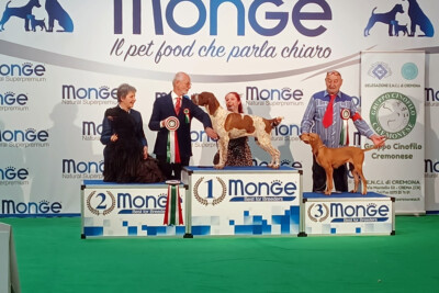 Esposizione Naz. Cremona 2023 Esposizione Naz. Cremona 2023 Morrigan dei Lupercali CAC BOB Best Razze Italiane 2° BIG