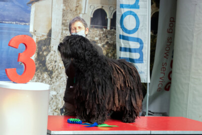 Insubria Winner 2021 Insubria Winner 2021 Ishtaran dei Lupercali 3° BIG