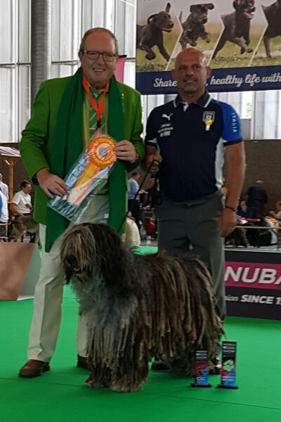 World Dog Show 2018 Amsterdam World Dog Show Amsterdam 2018 Bibli dei Lupercali Campione Mondiale e BOB