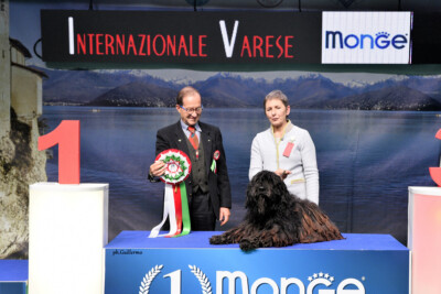 Insubria Winner 2018 Insubria Winner 2018 Ishtaran dei Lupercali BOB 1 BEST Razze Italiane