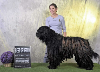 Ch. Italiano - Ch. Europeo Ishtaran dei Lupercali Ch. Italiano - Ch. Europeo Ishtaran dei Lupercali