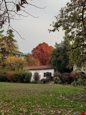 Pensione per cani Lupercali - Fino Mornasco - Como