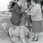 Carla Mariani Allevamento dei Lupercali anno 1960 Carla Mariani Allevamento dei Lupercali anno 1960