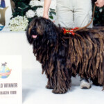 World Winner Copenhagen 1989 World Winner Copenhagen 1989