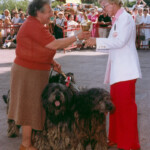 Premiazione Gruppo Cane da Pastore Bergamasco dei Lupercali Premiazione Gruppo Cane da Pastore Bergamasco dei Lupercali