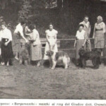 Raduno Cane da Pastore Bergamasco 1964 Raduno Cane da Pastore Bergamasco 1964