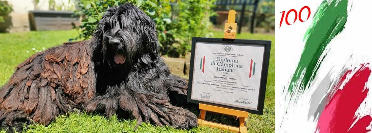 Centesimo Campione Italiano nella storia dei Lupercali Centesimo Campione Italiano nella storia dei Lupercali